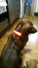 Load image into Gallery viewer, Led Powered Dog Collar