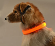 Load image into Gallery viewer, Night Safety Flashing Glow In The Dark Dog Collar
